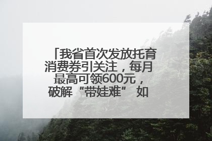 我省首次发放托育消费券引关注，每月最高可领600元，破解“带娃难” 如何不负所“托”？
